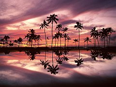 Ala Moana Beach Park, Honolulu, Oahu, Hawaii